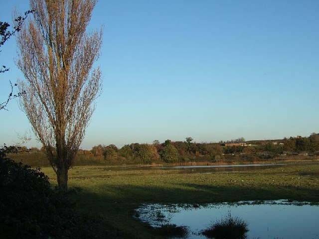 Bowling Green Marsh RSPB reserve at Topsham, Devon