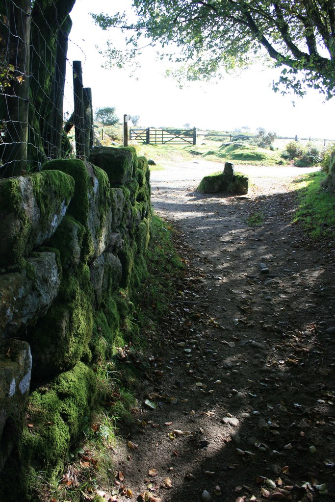 Jay's Grave, the small roadside burial mound on Dartmoor