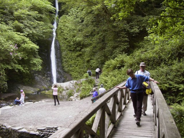 The White Lady Waterfall falling through trees in Lydford Gorge